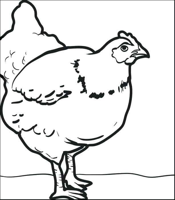 613x700 Hen Coloring Pages Hen Coloring Page Hen Colouring Pages