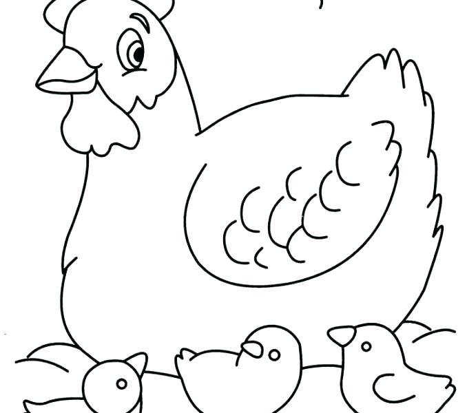 678x600 Hen Coloring Pages Hen For Coloring Hen Coloring Pages Chicken C