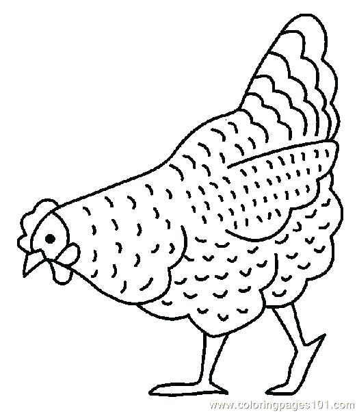 522x602 Hens Coloring Pages Chicken Coloring Page Chicken Coloring Pages