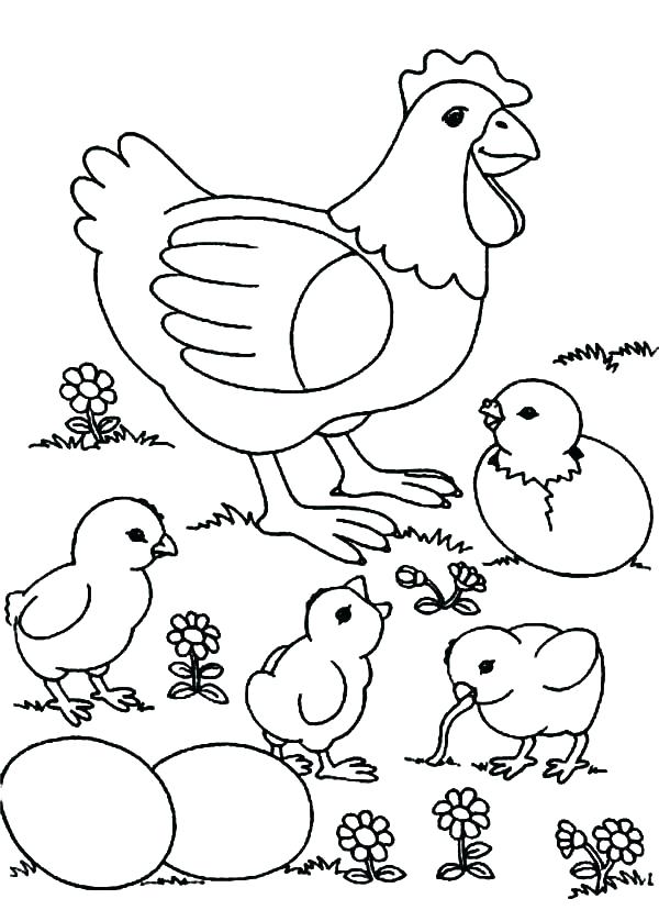 600x828 Baby Chick Coloring Pages Chick Coloring Pages Easter Baby Chick