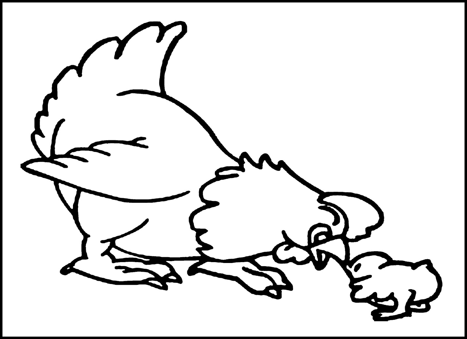 1600x1164 Best Of Chicken Coloring Page Gallery Printable Coloring Sheet