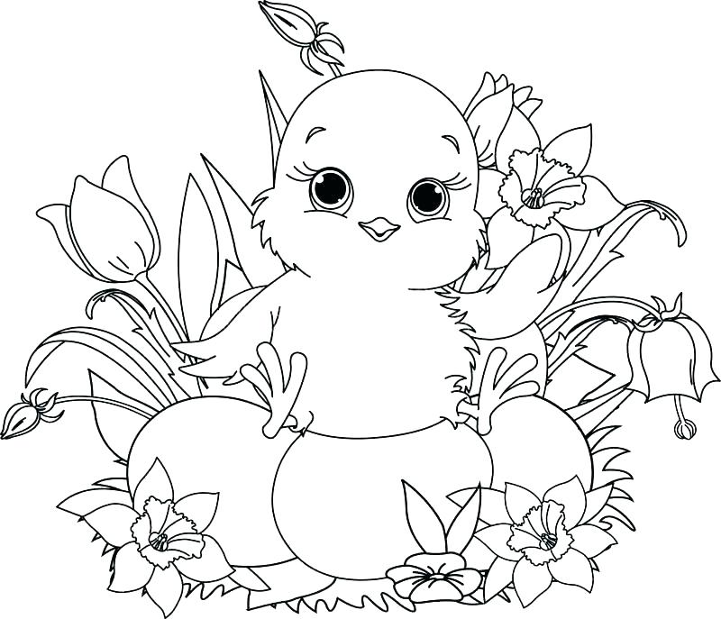 800x687 Chick Coloring Page Chick Colouring Page Cute Cartoon Girl