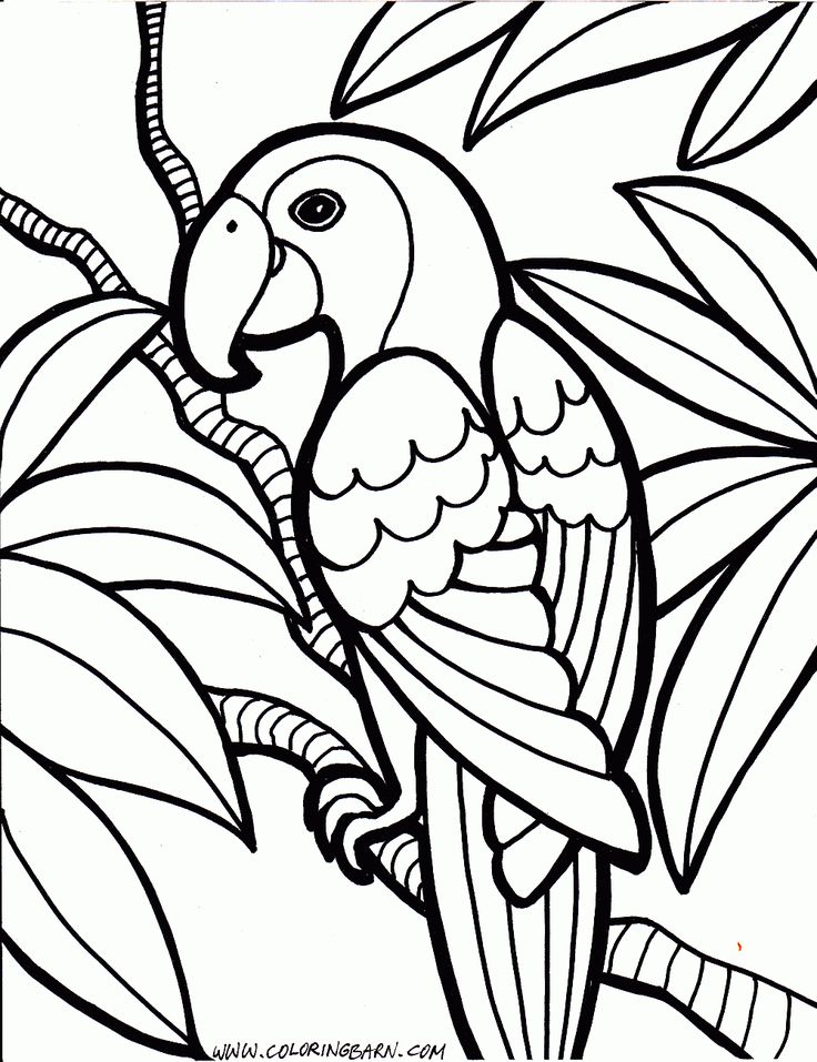 736x957 Free Coloring Page Trend Free Coloring Pages About Remodel Ew