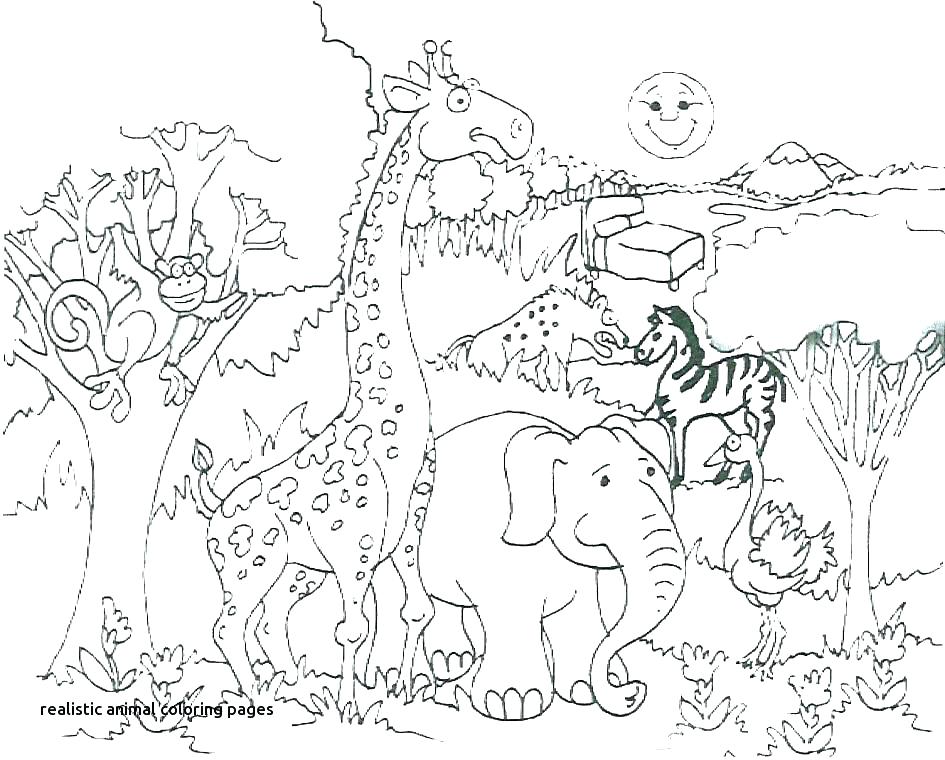 945x760 Realistic Animal Coloring Pages Ocean Animals Coloring Pages Free