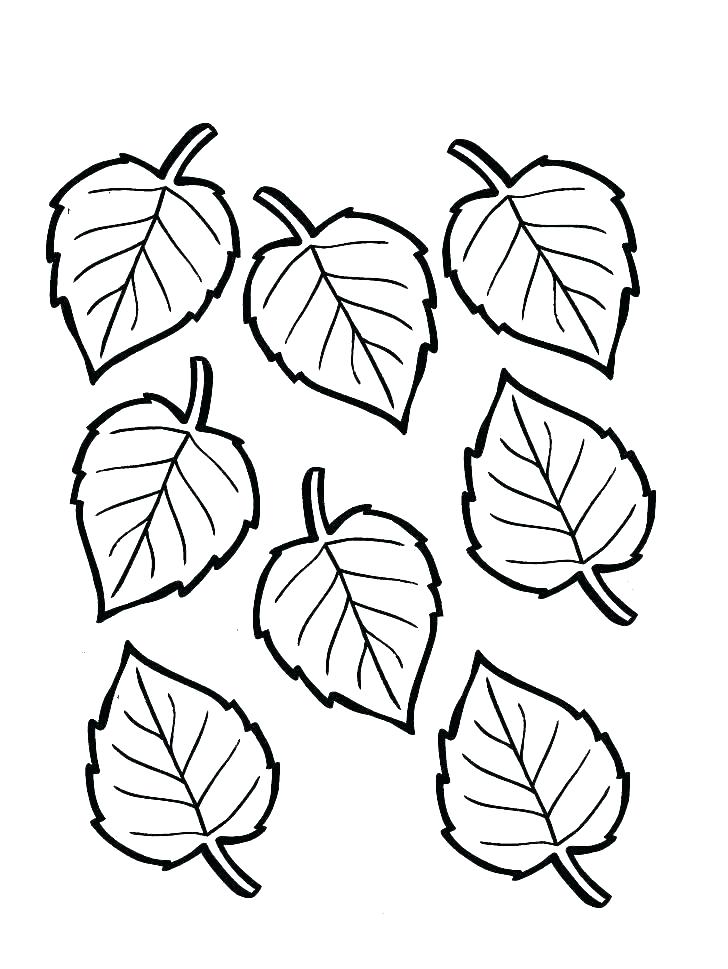 728x969 Free Coloring Pages For Fall Free Fall Coloring Pages Printable
