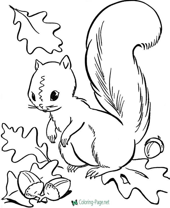 670x820 Autumn Coloring Pages Coloring Pages Autumn