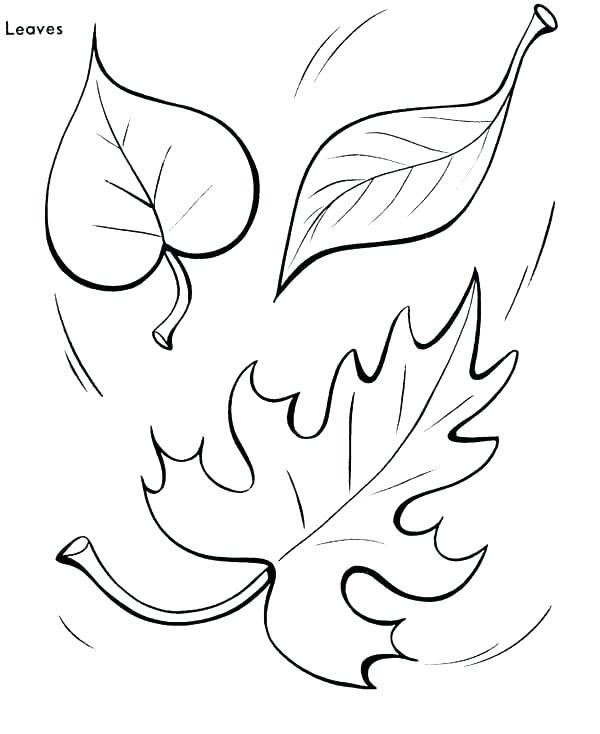 600x734 Fall Themed Coloring Pages