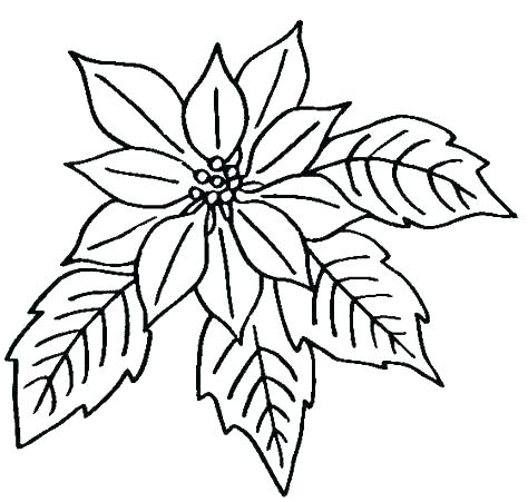 474x451 Coloring Pages Flowers And Butterflies Coloring Pages