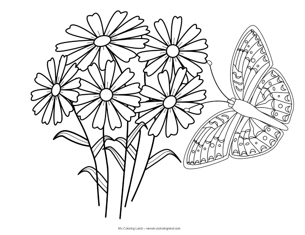 1056x816 Coloring Books Free Coloring Pages Flowers And Butterflies New