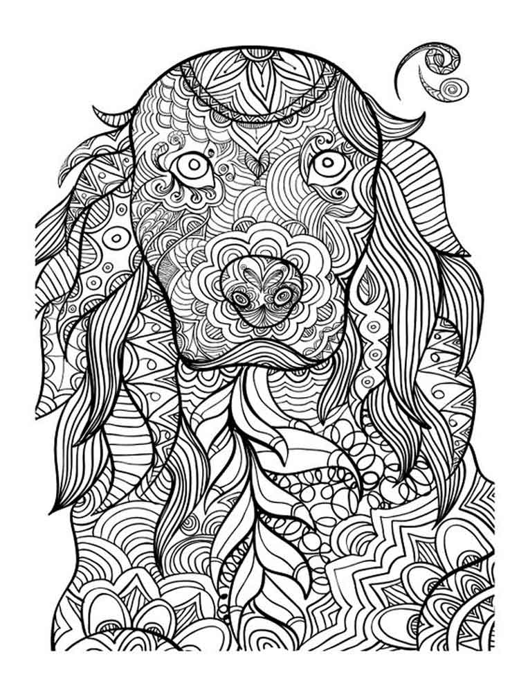 750x1000 Animals Coloring Pages For Adults Free Printable Animals Coloring