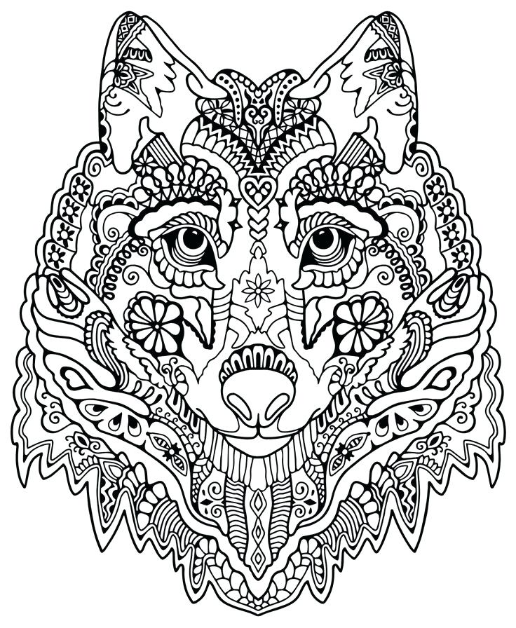 736x896 Free Detailed Coloring Pages