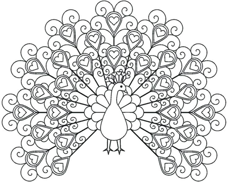 736x588 Coloring Pages Free Printable Coloring Pages Adults Only