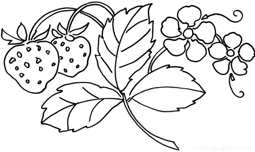 Free Coloring Pages For Girls at GetDrawings | Free download