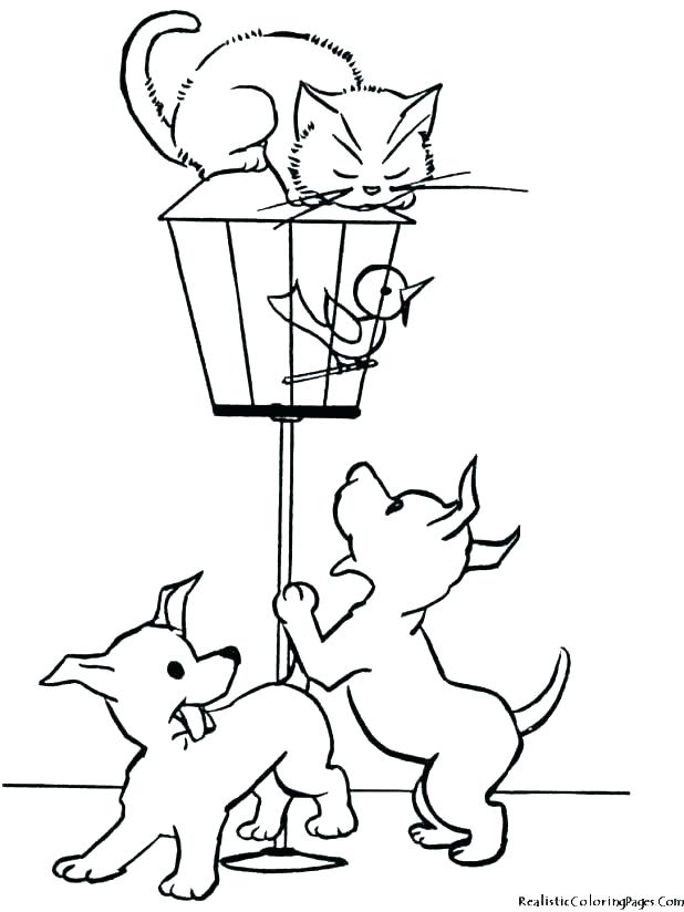 618x824 Cat Dog Coloring Pages Dog Coloring Pages Free Cat Dog Cat