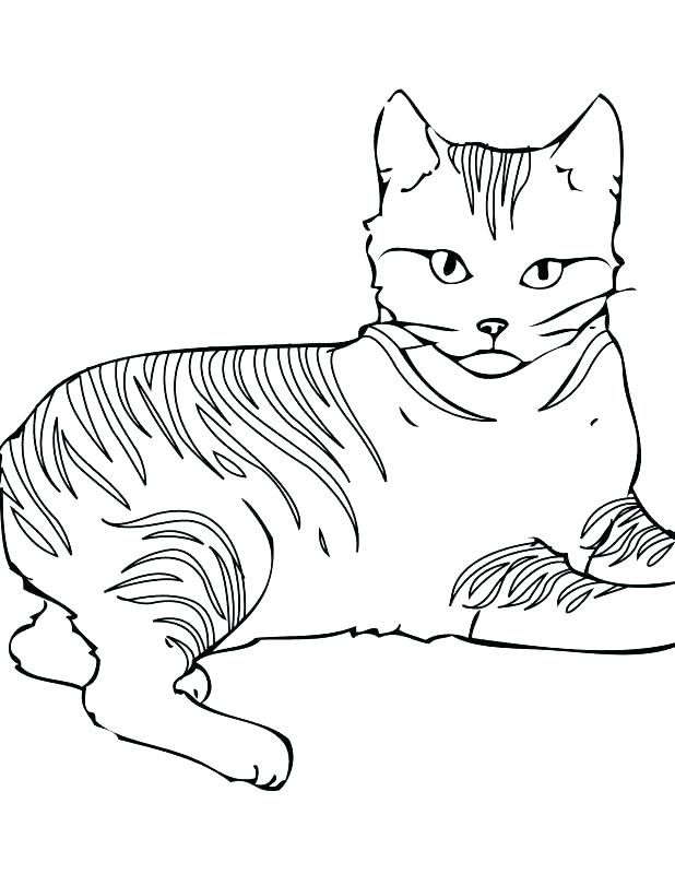 618x800 Warrior Cats Coloring Pages Free Coloring Pages Of Cats Coloring