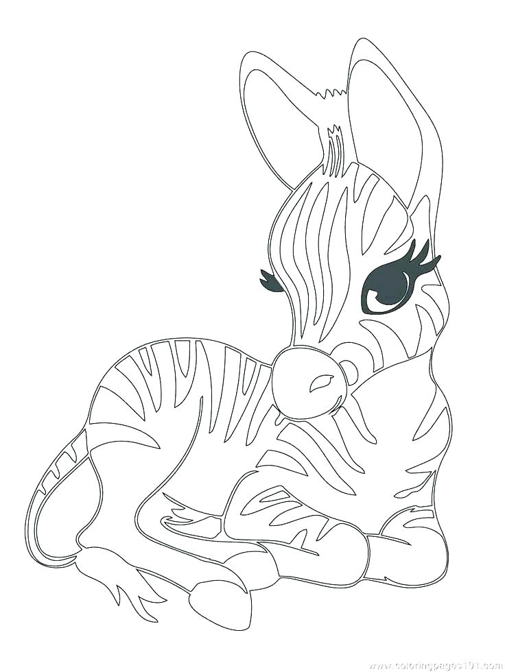 736x980 Cute Animals Coloring Pages Cute Animals Coloring Pages Coloring