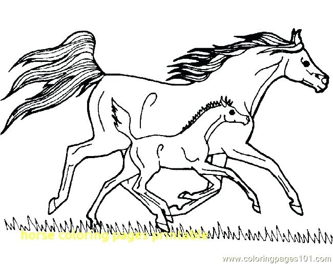650x516 Free Coloring Pages Horses