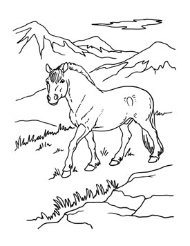 275x356 Coloring Pages!