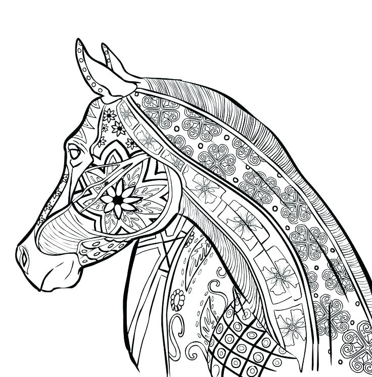 736x747 Coloring Pages Of Horses Horses Coloring Pages F Horse Coloring