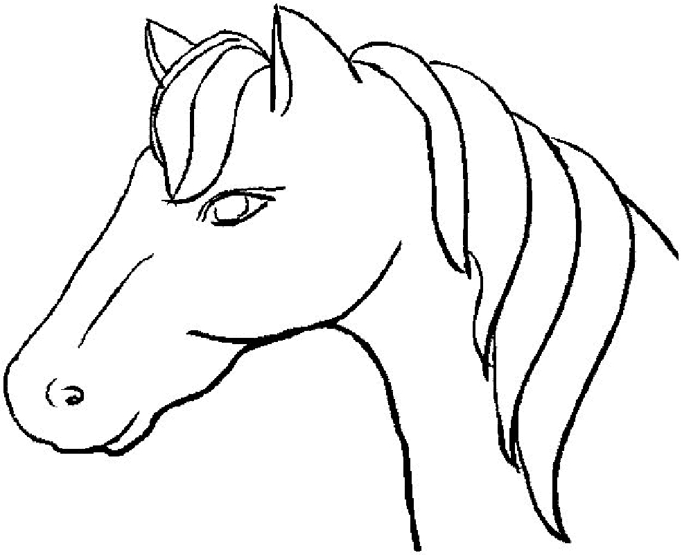 984x800 Cool Baby Horse Coloring Pages To Print Printable Coloring Pages