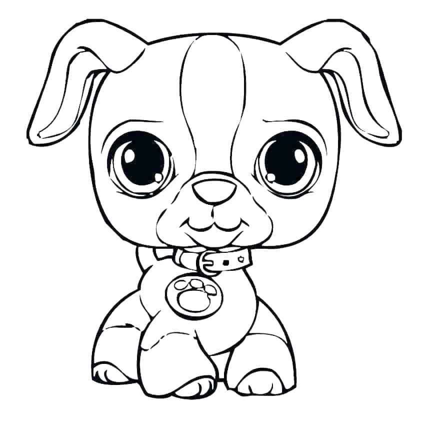 850x855 Coloring Pages Puppies And Kittens New Puppy And Kitten Coloring
