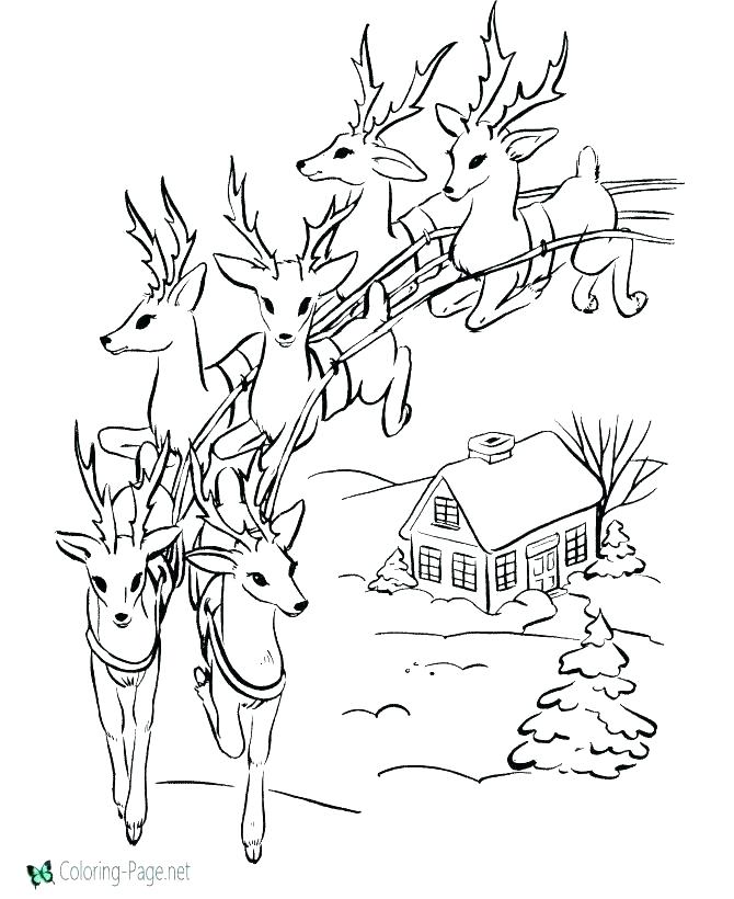 670x820 The Red Nosed Reindeer Coloring Picture Coloring Pages The Red