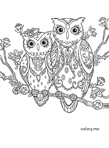 360x490 Baby Owl Coloring Or Owl Print Out Coloring Pages Owl Coloring