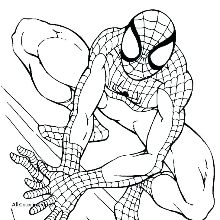 728x728 Spiderman Coloring Pages Printable