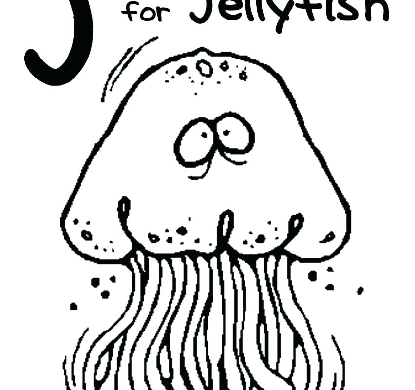 852x800 Jellyfish Coloring Page Free Jellyfish Coloring Pages Printable