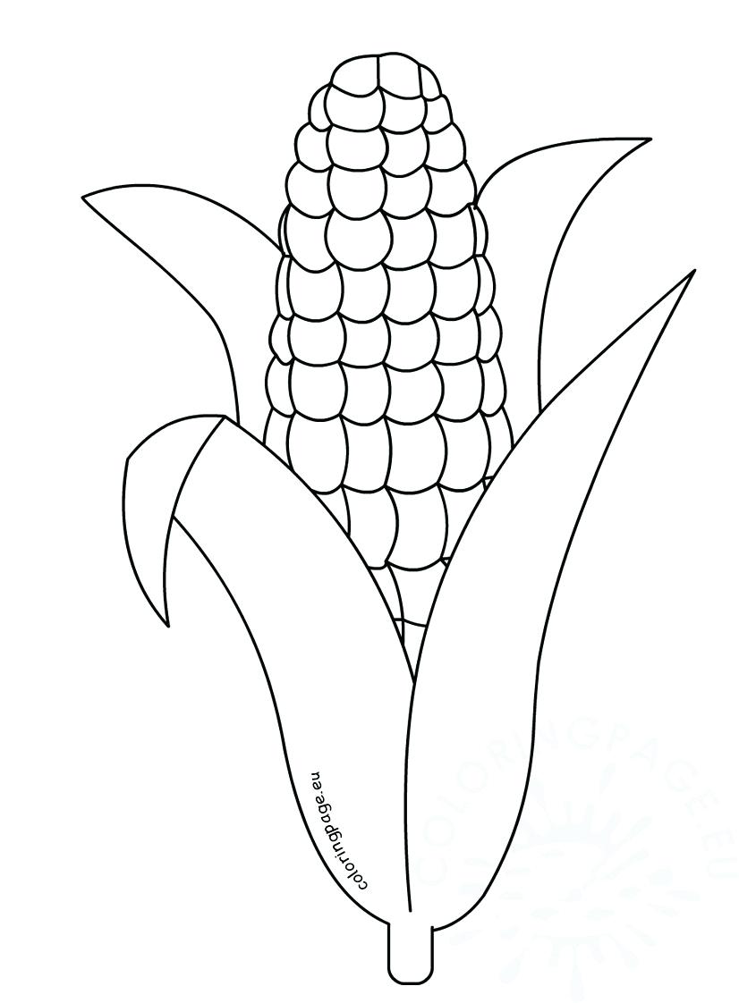 826x1122 Coloring Pages Cornucopia Coloring Page Best Printable Pages Pdf