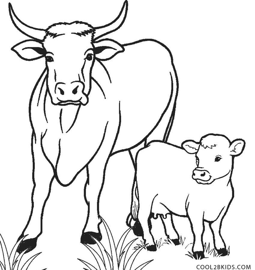 850x900 Farm Animal Staying Cattle Or Cow Coloring Page Is Pages Printable