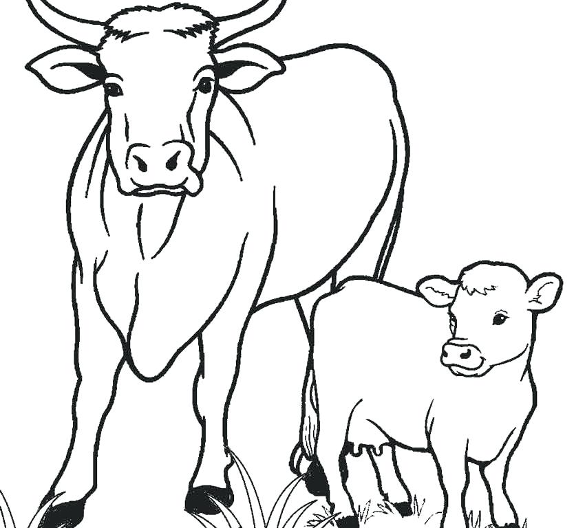 850x768 Free Printable Cow Coloring Pages For Kids Cow Coloring Pages Free