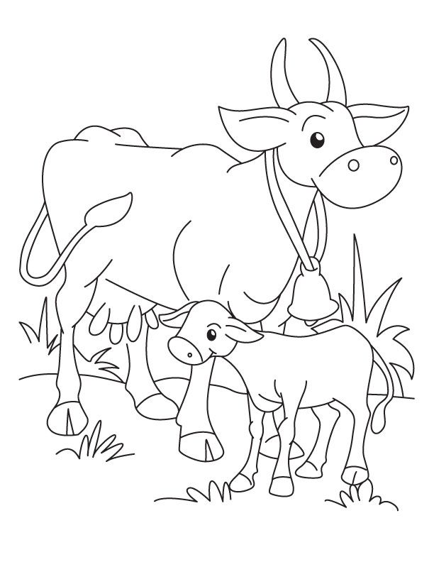 612x792 Free Cow Coloring Pages! Printables Cow And Free