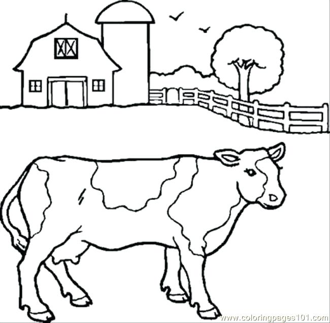 650x635 Cow Pictures To Color