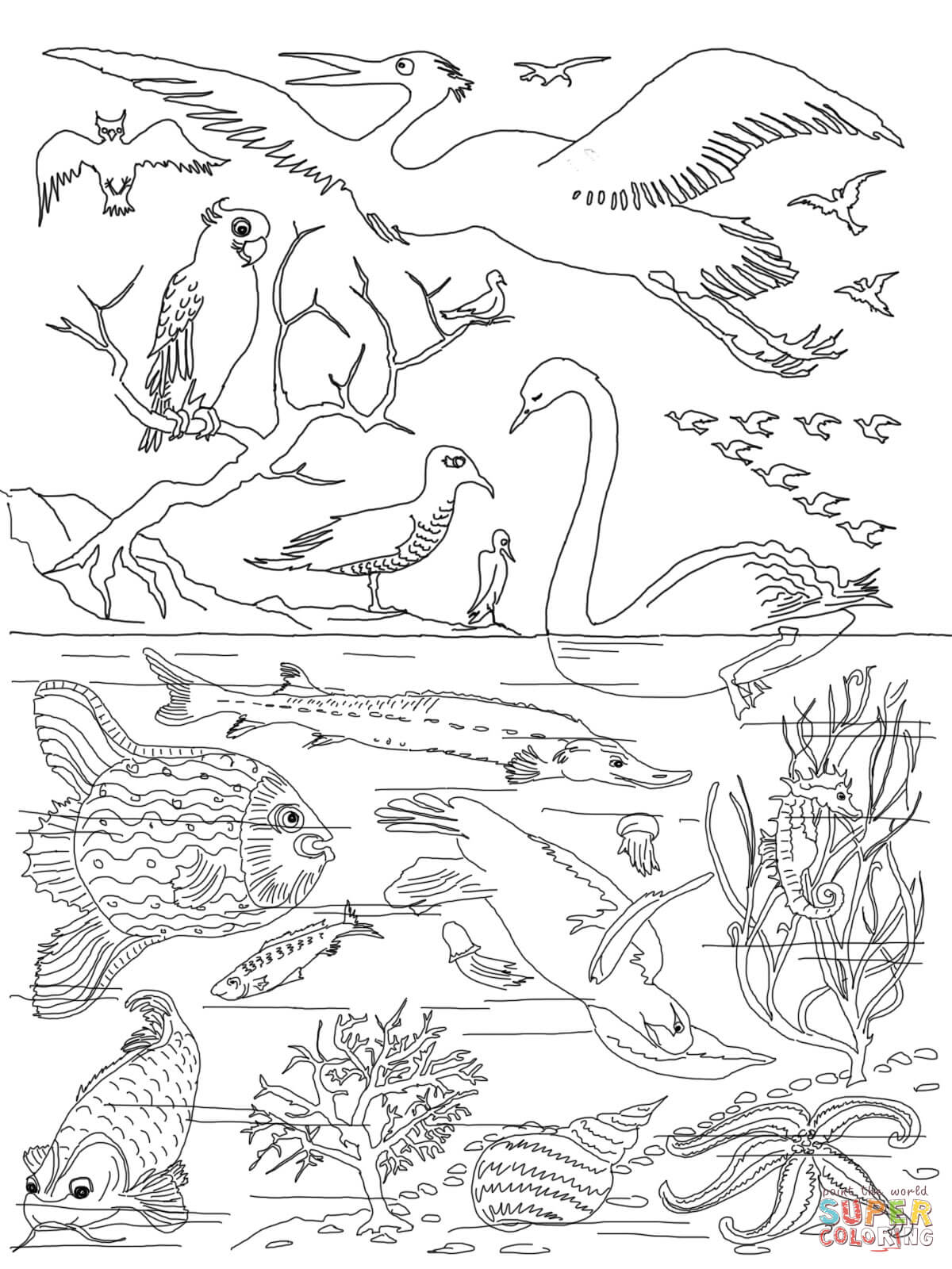 Free Creation Coloring Pages