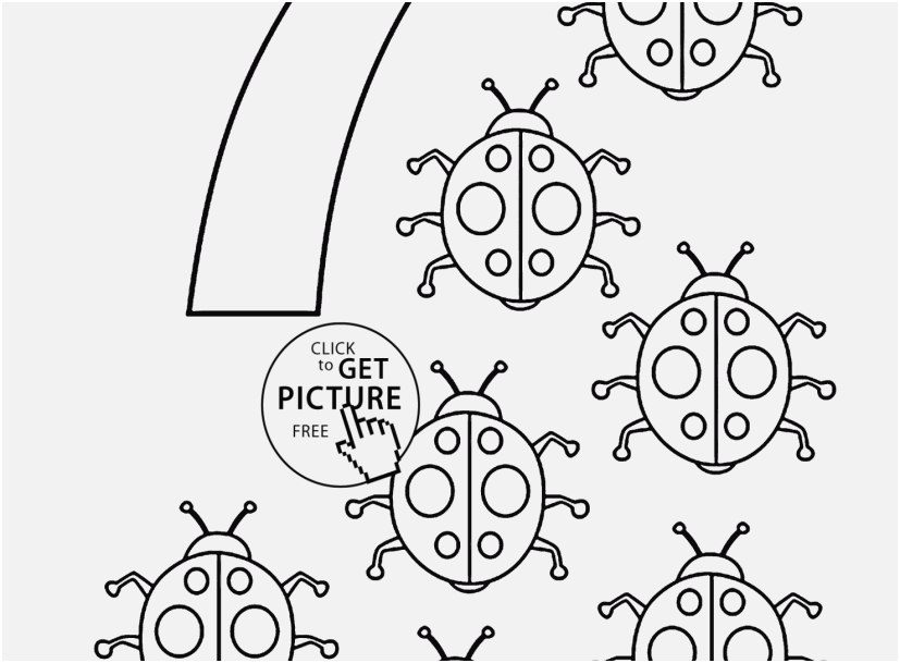 827x609 Days Of Creation Coloring Pages Free Photo Colouring Pages