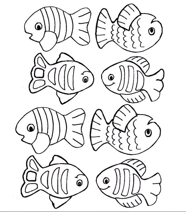 627x715 Starfish Coloring Pages Awesome Free Creation Coloring Page Fish