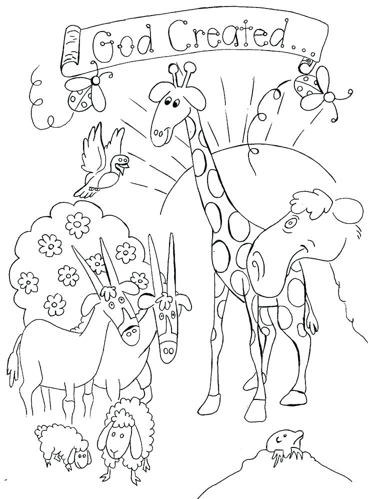 736x997 Creation Coloring Page