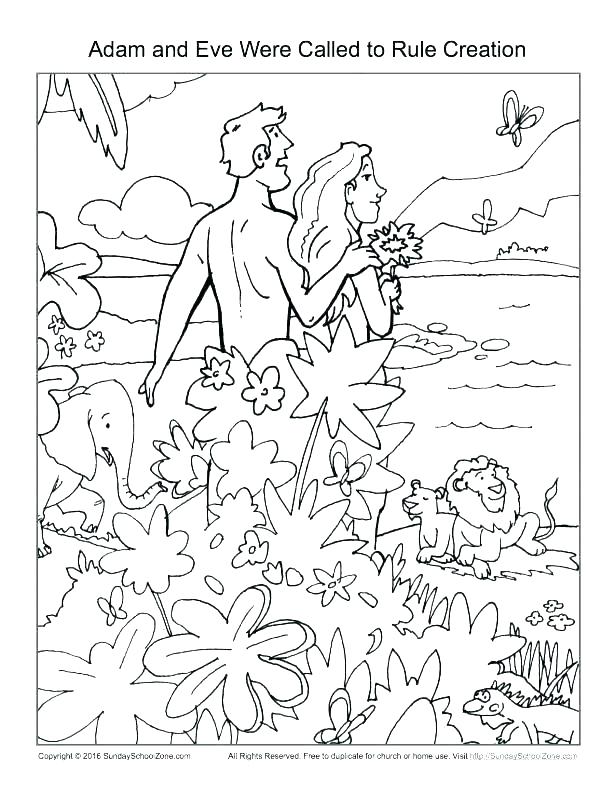615x796 Creation Coloring Pages