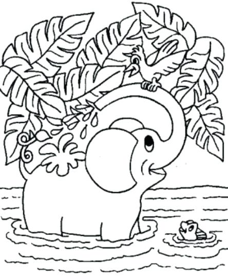 444x543 Animal Coloring Pages Free Cute Coloring Pages Of Baby Animals