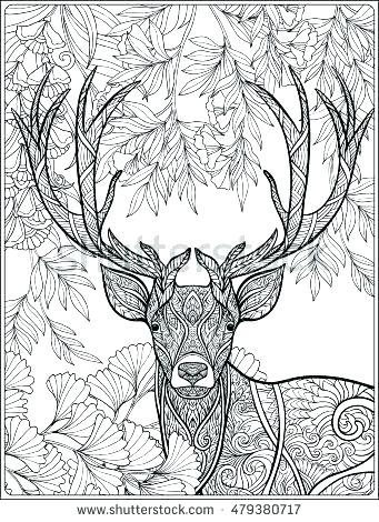 341x470 Deer Coloring Pages Free Deer Coloring Pages Deer Coloring Pages