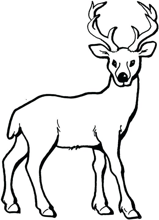 521x720 Free Deer Coloring Pages Deer Coloring Page Add Pipe Cleaner