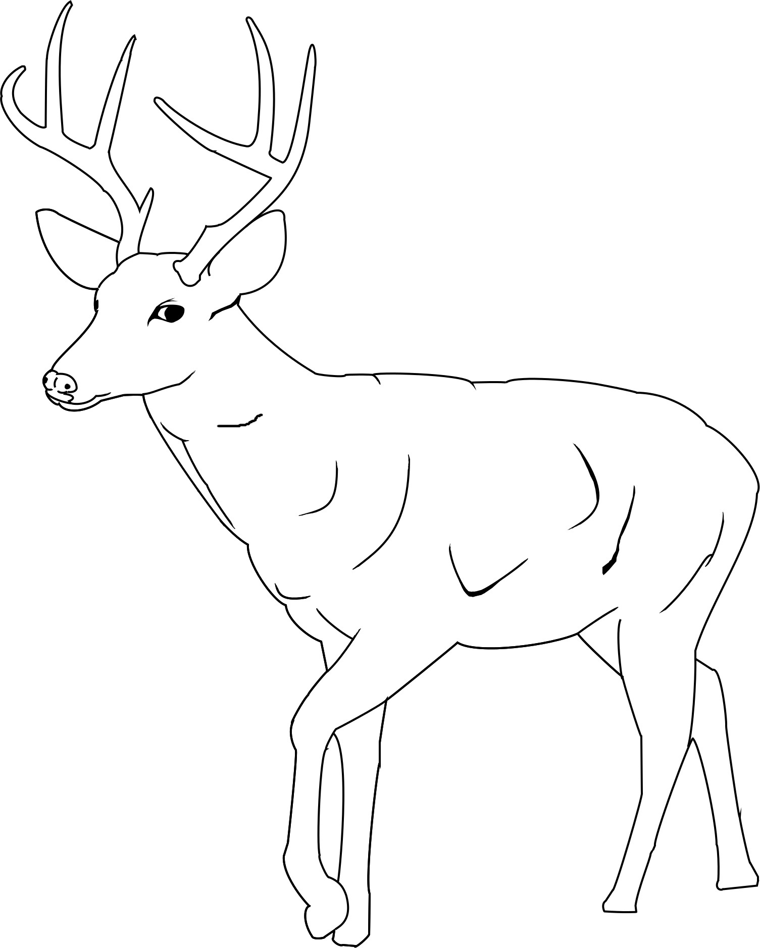 1505x1878 Free Deer Pictures To Print High Tech In New