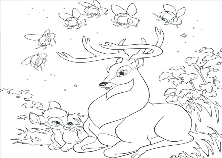 860x612 Whitetail Deer Coloring Pages Free Deer Coloring Pages Realistic