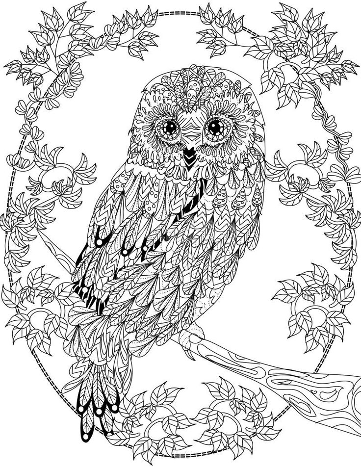 736x952 Coloring Pages Of Owls For Adults Erf Coloring