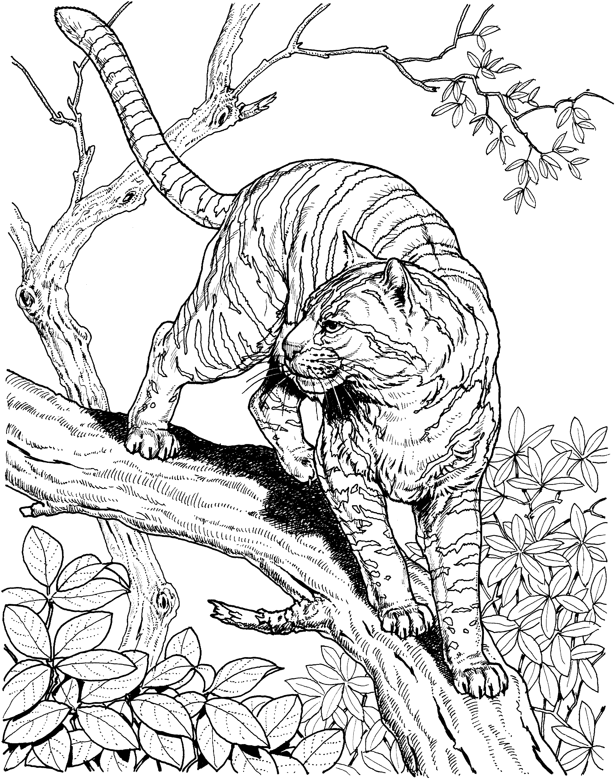 2150x2723 Detailed Coloring Pages Good For Adults Graphic Unknown