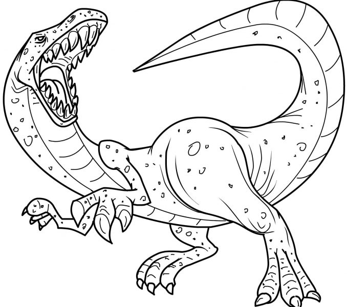 678x600 Free Dinosaur Coloring Pages Kids Coloring