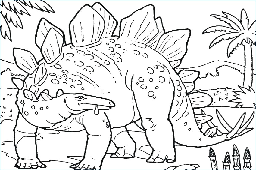 850x567 Stegosaurus Dinosaur Coloring Pages