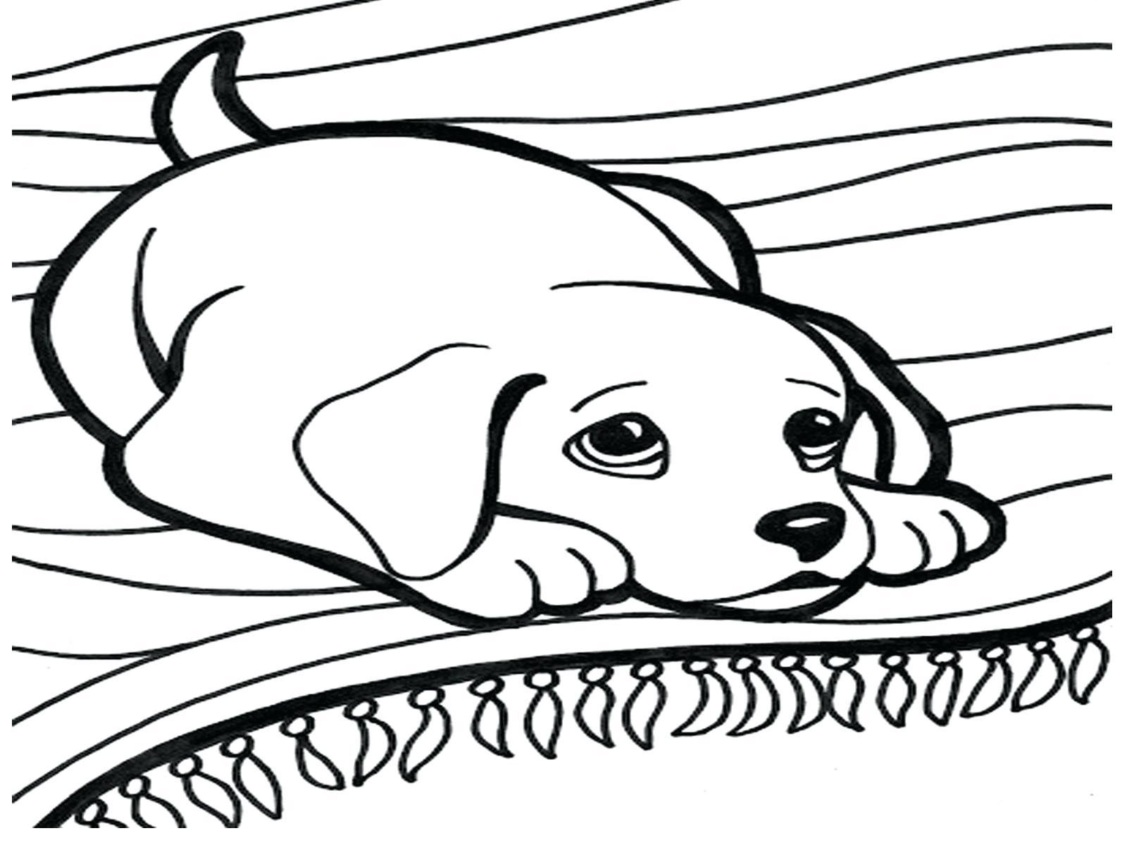 1600x1200 Printable Coloring Pages Of Dogs Best Of Flowers Coloring Page