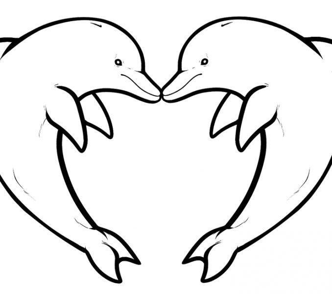 678x600 Dolphin Coloring Sheet Cool Dolphin Coloring Page Ideas For Your